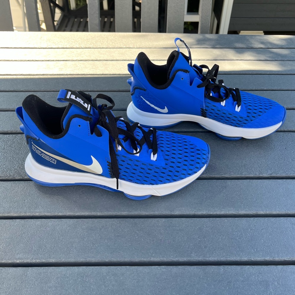 Nike; Lebron Witness V Basketball Shoes; Blue & White; Mint Condition; Men’s 10